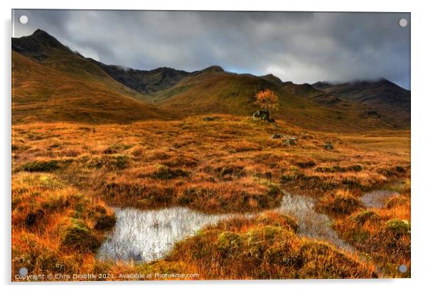 Glen Shiel and Aonach air Chrith Acrylic by Chris Drabble