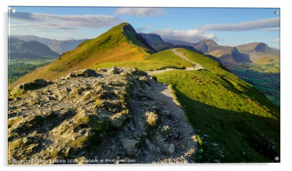 Catbells from Skelgill Bank at first light Acrylic by Chris Drabble