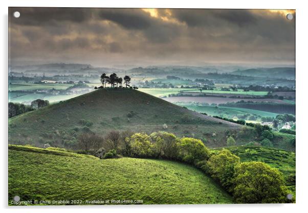 Colmers Hill at sunrise Acrylic by Chris Drabble