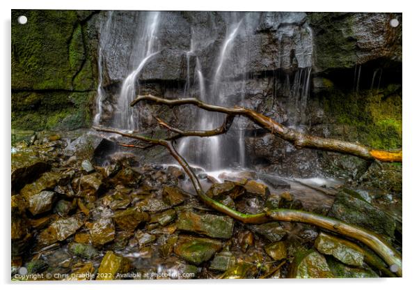 Little Waterfall Swallet Acrylic by Chris Drabble