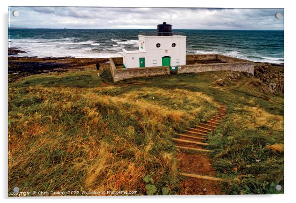 Black Rocks Point Lighthouse in colour Acrylic by Chris Drabble