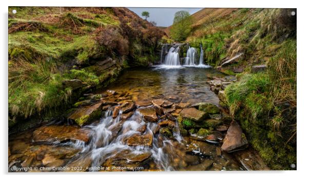 Fairbrook in spate Acrylic by Chris Drabble