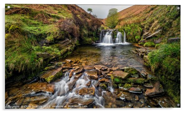 Fairbrook in Spring Acrylic by Chris Drabble