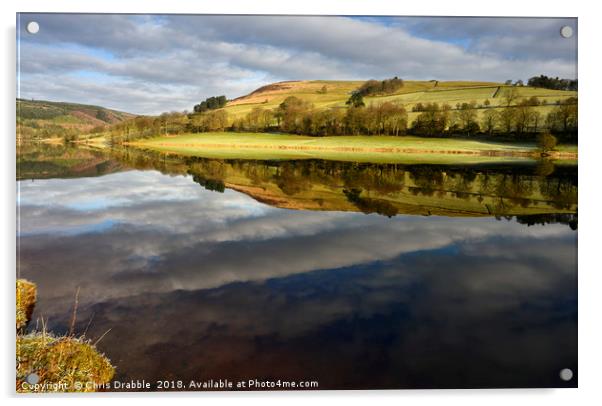 A mirror reflection in Ladybower Reservior        Acrylic by Chris Drabble