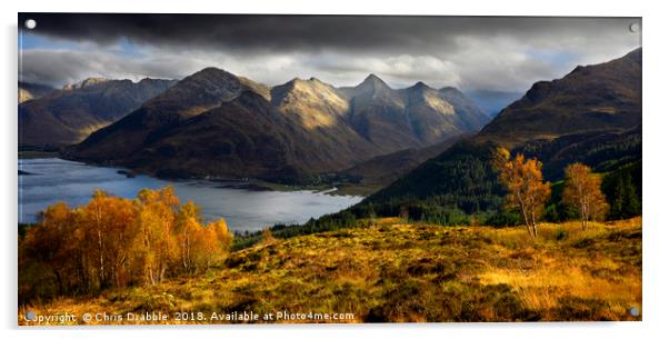Autumn in Kintail Acrylic by Chris Drabble