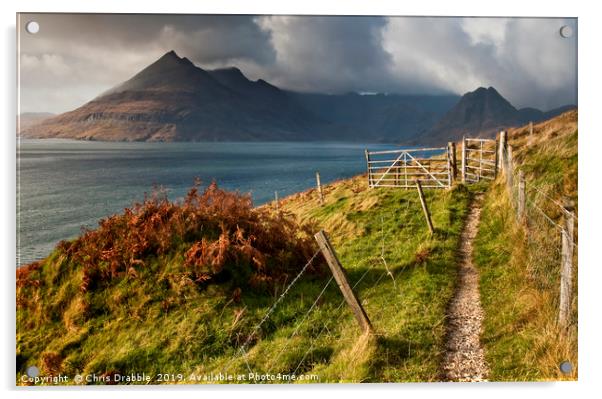 On the coastal path from Elgol to Camasunary Acrylic by Chris Drabble