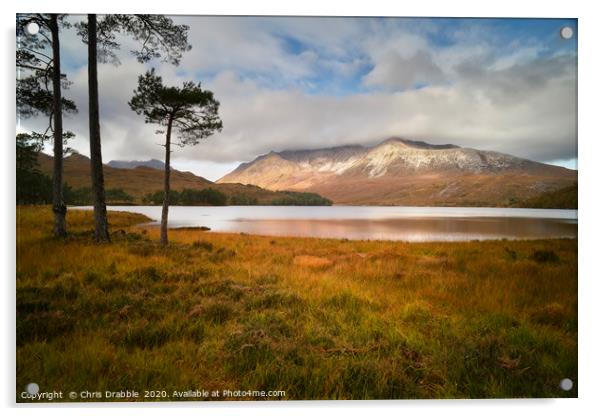 Beinn Eighe in sunlight                        Acrylic by Chris Drabble