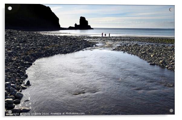 Beach combing at Talisker Bay Acrylic by Chris Drabble