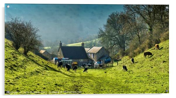 Dale End Farm, the Manifold Valley Acrylic by Chris Drabble