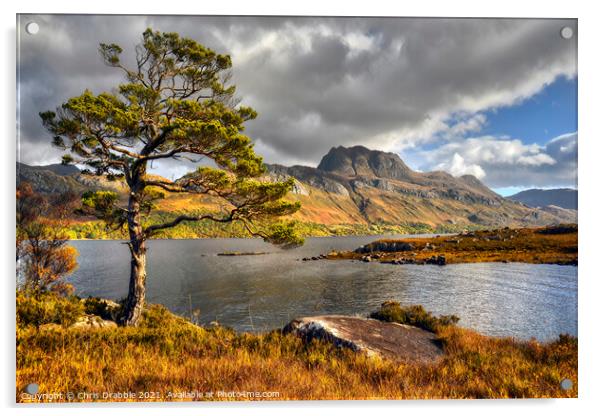 Slioch and Loch Maree Acrylic by Chris Drabble