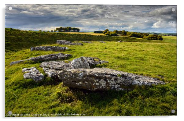 Arbor Low in early Autumn Acrylic by Chris Drabble