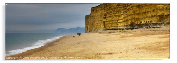Burton Bradstock beach and cliffs Acrylic by Chris Drabble