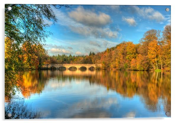 Virginia Water Lake in Autumn Acrylic by Bob Barnes