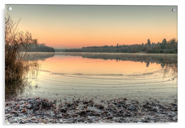 A Frosty Dawn at Virginia Water Lake Acrylic by Bob Barnes