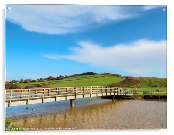 Bridge over the River Char at Charmouth Acrylic by Susie Peek