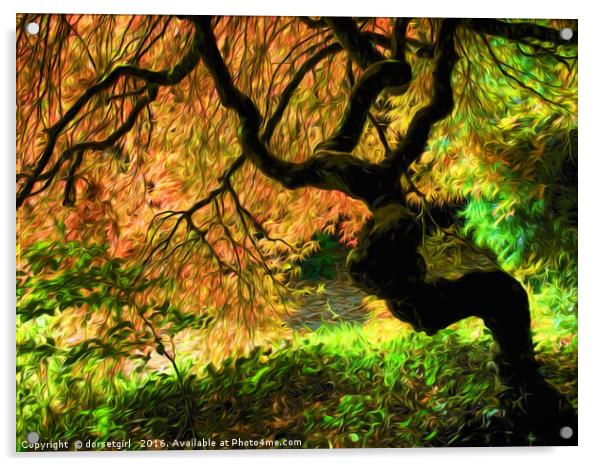 Acer Tree Impressions Acrylic by Susie Peek
