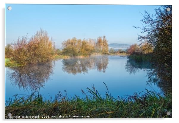 Misty Lake - Lower Bruckland Acrylic by Susie Peek