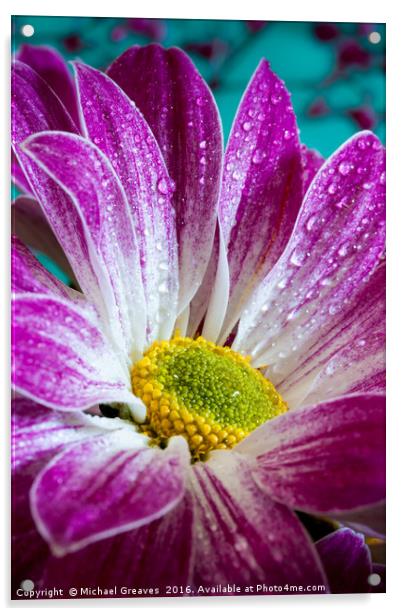 Chrysanthemum Acrylic by Michael Greaves