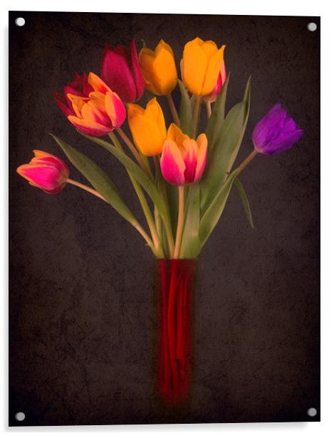Tulips Acrylic by Andrew Stevens