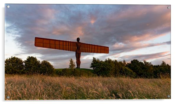 Angel of the North Acrylic by Andy Gibbins