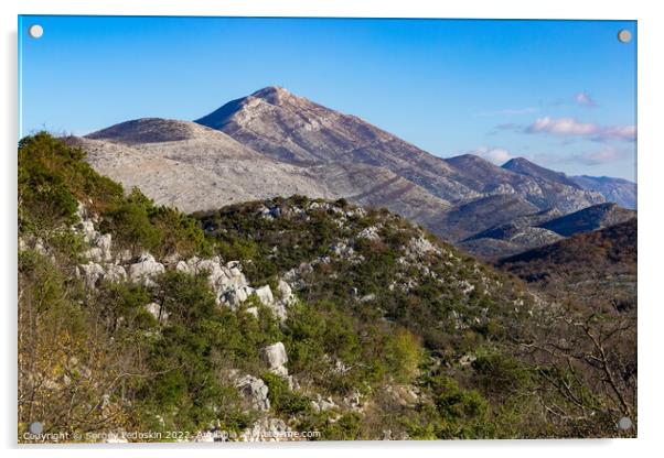 Sunny winter day in mountains. Balkanian mountains. Croatia. Acrylic by Sergey Fedoskin