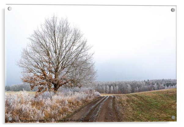 Winter landscape in Czech countryside. Acrylic by Sergey Fedoskin