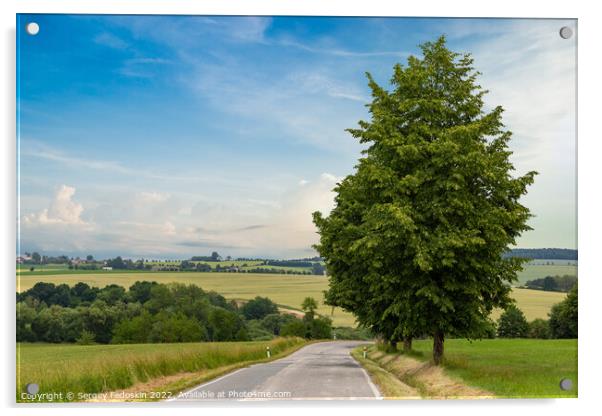 Rural road in a summer field. Summer landscape. Acrylic by Sergey Fedoskin