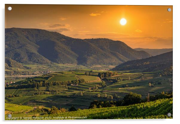 Picturesque landscape with vineyards in Wachau valley. Krems region. Lower Austria Acrylic by Sergey Fedoskin