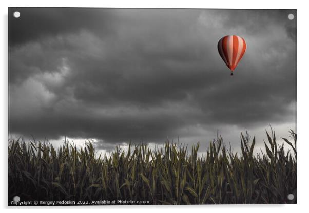 Hot air balloon flying over a corn field Acrylic by Sergey Fedoskin