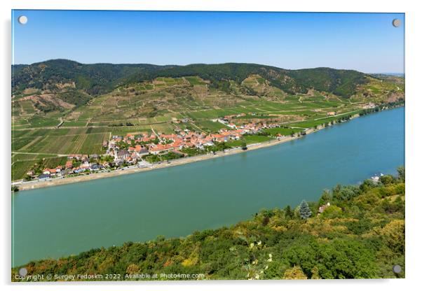 Danube river and vineyards in Wachau valley. Lower Austria. Acrylic by Sergey Fedoskin