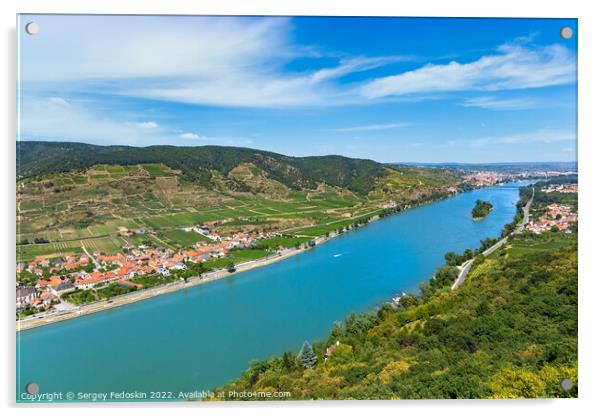 Vineyards by the Danube river in Wachau valley. Lower Austria. Acrylic by Sergey Fedoskin