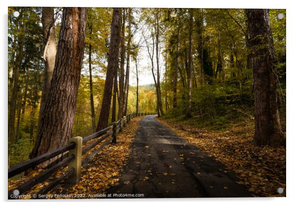 Road in South Bohemian forest in Czechia in autumn season. Acrylic by Sergey Fedoskin