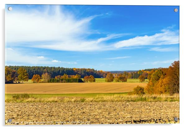 Sunny autumn day in european countryside. Czech Republic. Acrylic by Sergey Fedoskin
