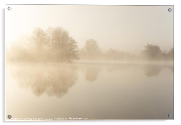 Foggy early morning on a lake. Acrylic by Sergey Fedoskin
