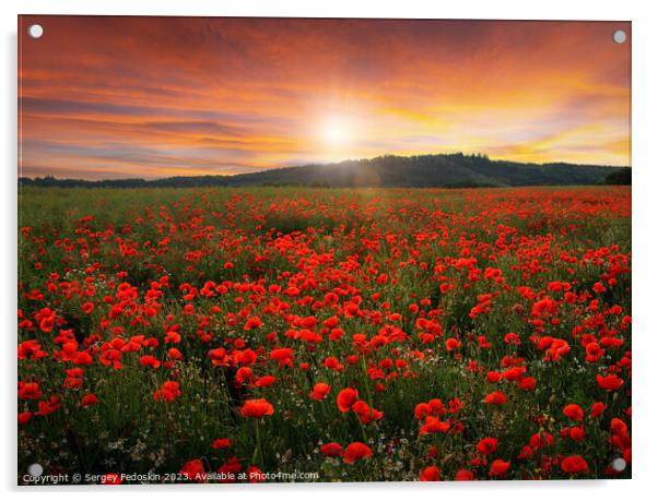 Poppy field in full bloom. Field of red poppies against the sunset sky. Acrylic by Sergey Fedoskin
