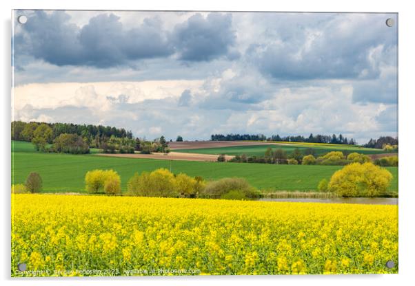 Spring fields of Europe, covered in bright yellow canola flowers. Acrylic by Sergey Fedoskin