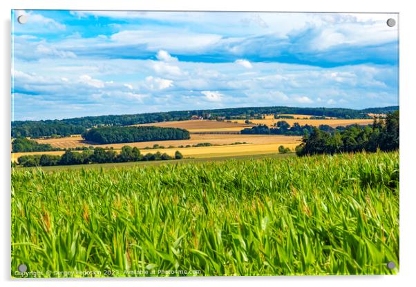 Summer rural landscape Acrylic by Sergey Fedoskin
