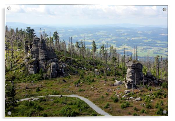 Dreisesselberg mount. Bavaian forest.  Acrylic by Sergey Fedoskin