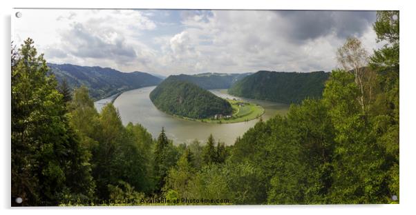 Danube river in Austria. Acrylic by Sergey Fedoskin