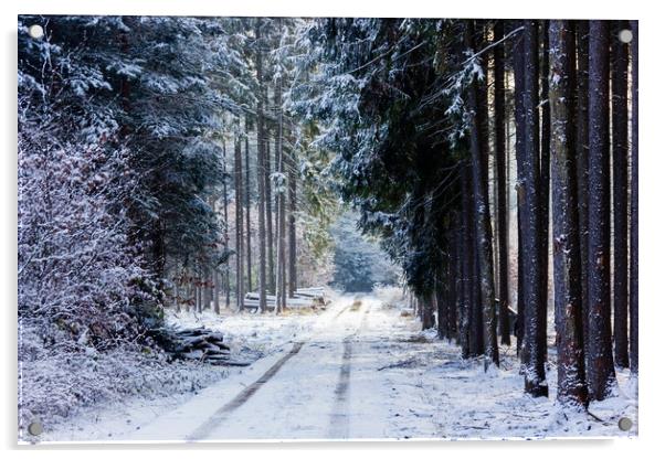 Road in winter forest in national park "Sumava". Acrylic by Sergey Fedoskin