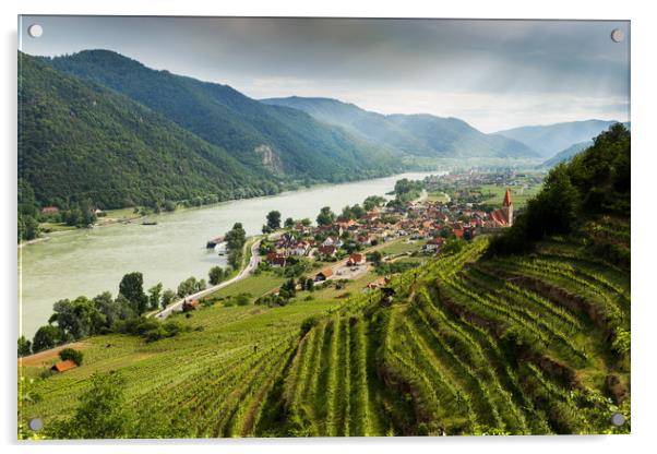 Wachau valley with the Danube river and vineyards. Acrylic by Sergey Fedoskin