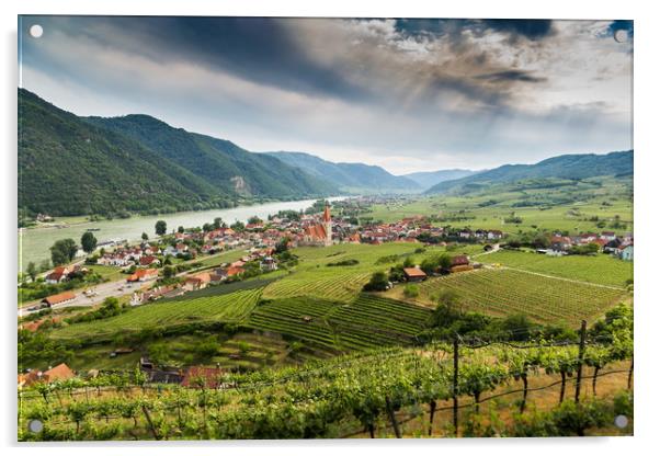 Wachau valley with Danube river and vineyards. Acrylic by Sergey Fedoskin