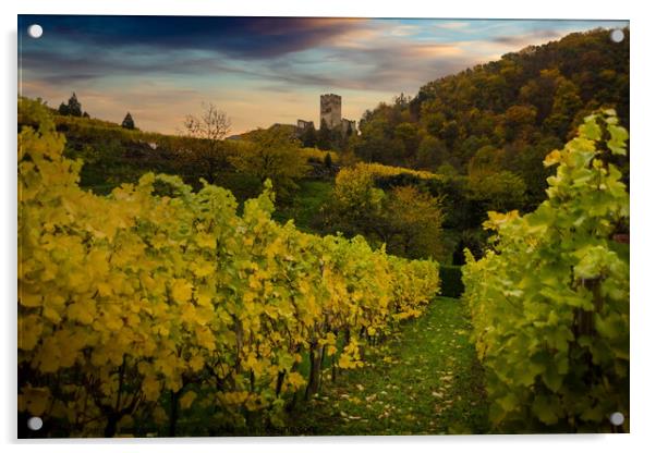Vineyards in Wachau valley, Spitz, Lower Austria. Acrylic by Sergey Fedoskin