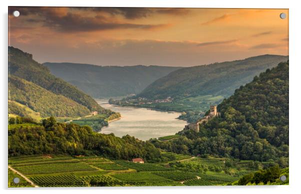 Danube river in Wachau valley. Acrylic by Sergey Fedoskin