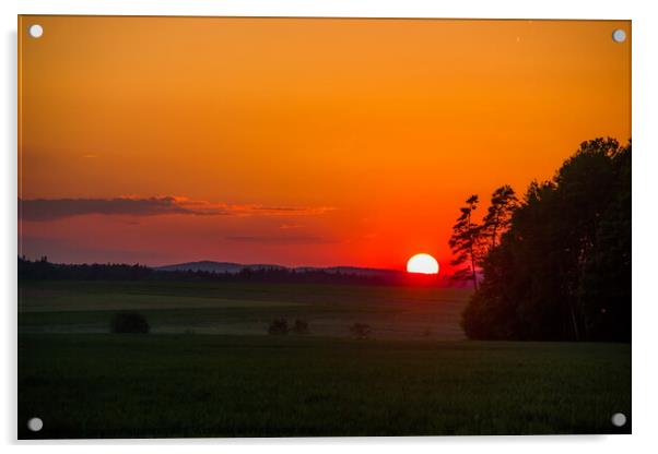Summer sunset. Acrylic by Sergey Fedoskin