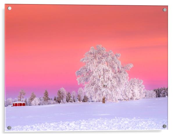 Sunset Jämtland Sweden Acrylic by Hamperium Photography