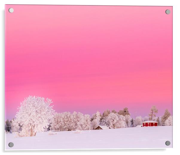 A pink winter  sunset in Sweden Acrylic by Hamperium Photography