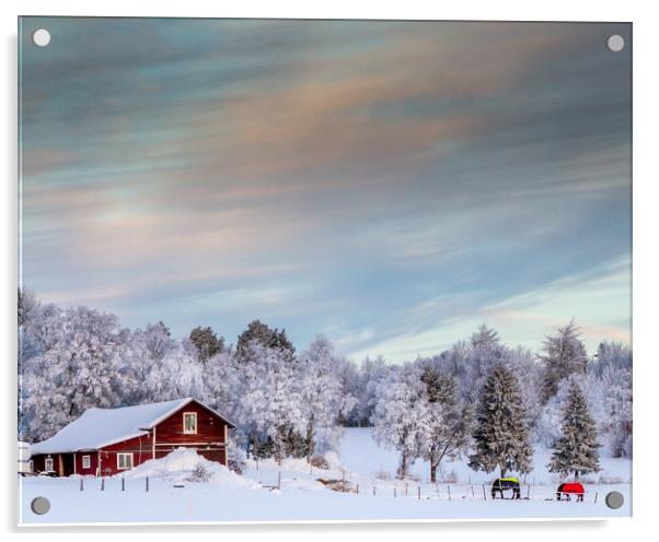 winter in sweden Acrylic by Hamperium Photography