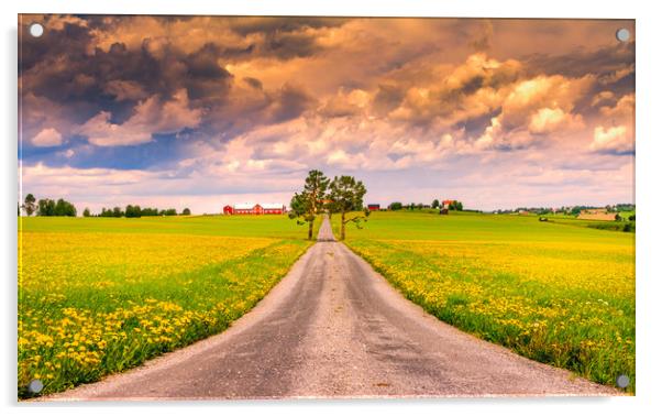 Road into spring Acrylic by Hamperium Photography