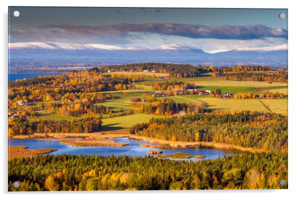 Autumn in Jämtland Sweden Acrylic by Hamperium Photography